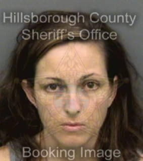 Rodriguez Cristin - Hillsborough County, Florida 