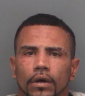 Martinez Felix - Pinellas County, Florida 