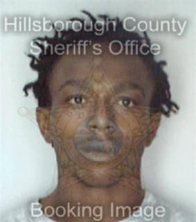 Montgomer Christopher - Hillsborough County, Florida 