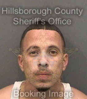 Hernandez Joseph - Hillsborough County, Florida 