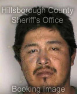 Oliverosramirez Josue - Hillsborough County, Florida 