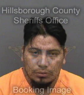 Lopezlopez Juan - Hillsborough County, Florida 