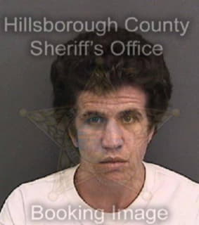 Mccausland Paul - Hillsborough County, Florida 