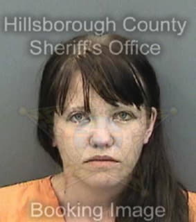Andreas Sydney - Hillsborough County, Florida 