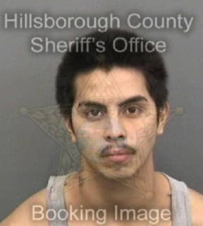 Dominguez Luis - Hillsborough County, Florida 