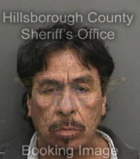 Sandoval David - Hillsborough County, Florida 