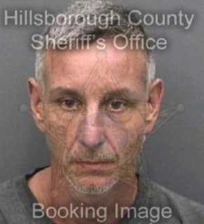 Landolfi Dennis - Hillsborough County, Florida 