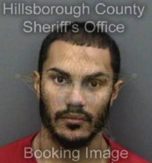 Ortiz Edwin - Hillsborough County, Florida 