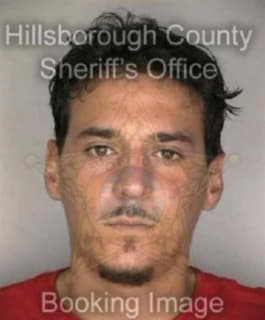 Vazquez James - Hillsborough County, Florida 