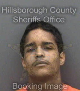 Perez Jaylen - Hillsborough County, Florida 