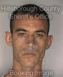 Ortiz William - Hillsborough County, Florida 