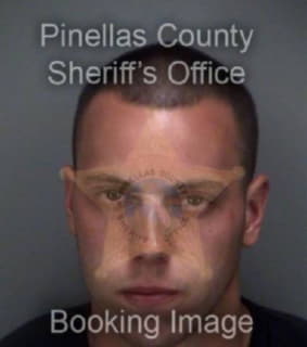 Bibaud Andrew - Pinellas County, Florida 