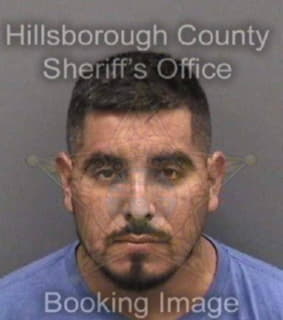 Ramirezduarte Celso - Hillsborough County, Florida 