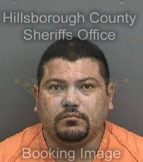 Cavazos-Martinez Ramiro - Hillsborough County, Florida 