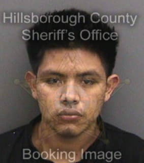 Carpinterohernandez Lisandro - Hillsborough County, Florida 