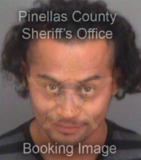 Rocha Wilson - Pinellas County, Florida 