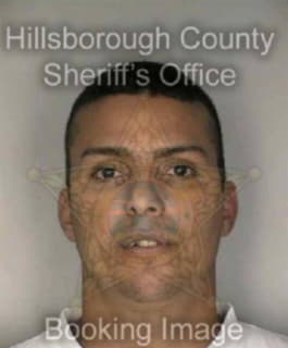 Rodriguezperez Jaime - Hillsborough County, Florida 