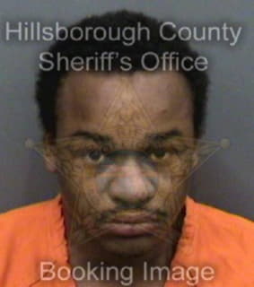 Arnold Jeffrey - Hillsborough County, Florida 