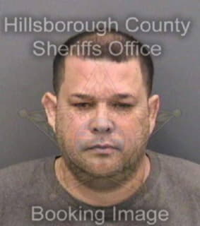 Cardozogomez Jose - Hillsborough County, Florida 