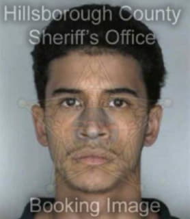 Perez Raymond - Hillsborough County, Florida 