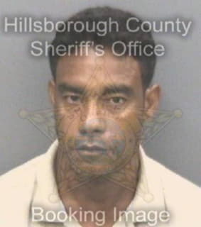 Perez Victor - Hillsborough County, Florida 