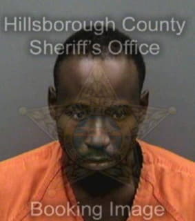 Williams Benjamin - Hillsborough County, Florida 