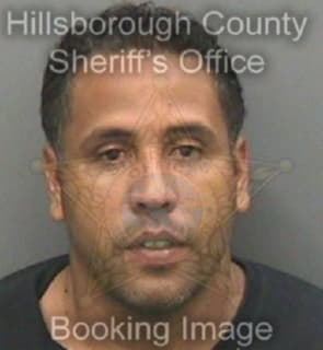 Lopez Gil - Hillsborough County, Florida 