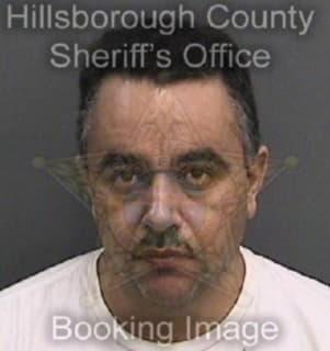 Lopez Luis - Hillsborough County, Florida 