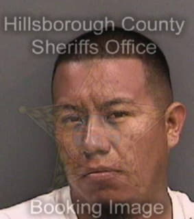 Cifuentezmendez Carlos - Hillsborough County, Florida 