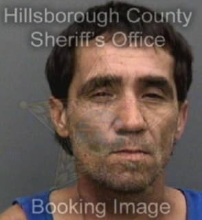 Mclemore Richard - Hillsborough County, Florida 