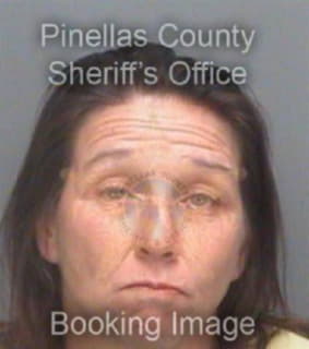 Ray Sherri - Pinellas County, Florida 