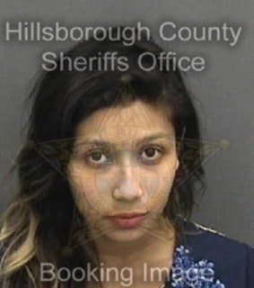 Bermudez Allison - Hillsborough County, Florida 