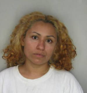 Amaya Dinorah - Hillsborough County, Florida 