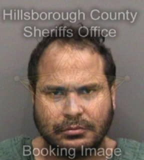 Deleon Josue - Hillsborough County, Florida 