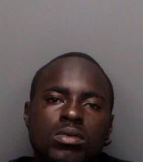 Bronson Kenneth - Pinellas County, Florida 