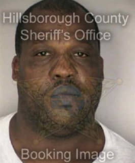 Anderson Michael - Hillsborough County, Florida 