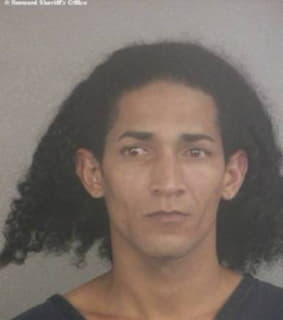 Hechavarriagomez Cesar - Broward County, Florida 