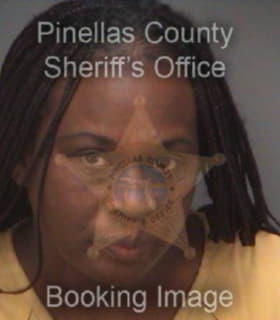 Mcgowan Lolisa - Pinellas County, Florida 