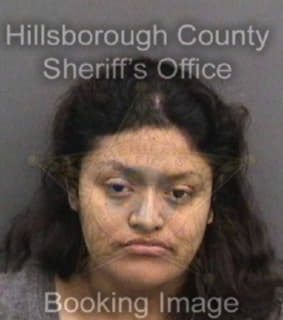 Perezperez Magaly - Hillsborough County, Florida 