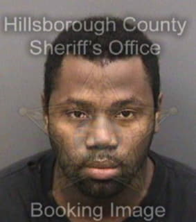 Lazarre Mario - Hillsborough County, Florida 