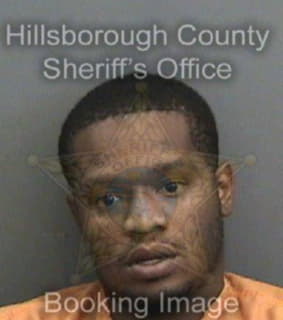 Davis Michael - Hillsborough County, Florida 