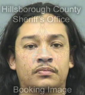 Aguirre Rene - Hillsborough County, Florida 