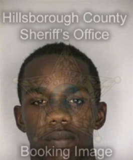 Parson Christopher - Hillsborough County, Florida 