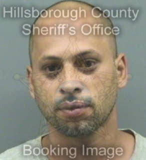 Rivera Jose - Hillsborough County, Florida 