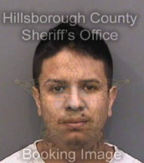 Flores Juan - Hillsborough County, Florida 