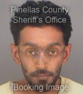Ramotar Nigel - Pinellas County, Florida 