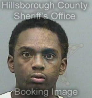 Aris Andre - Hillsborough County, Florida 