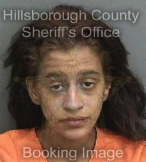 Lopez Greyshlianne - Hillsborough County, Florida 