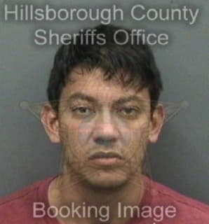 Aguilarhernandez Luis - Hillsborough County, Florida 