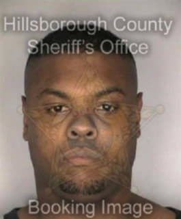 Wilson Michael - Hillsborough County, Florida 